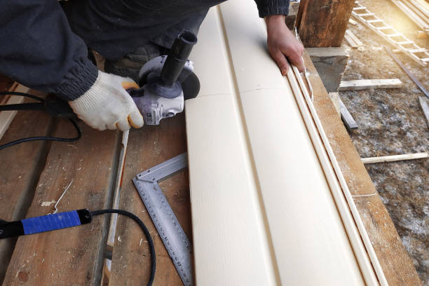 Best Vinyl Siding Installation  in Kendall Park, NJ